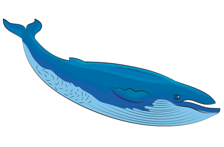 Синий кит вектор