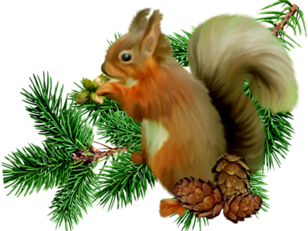 Белочка на прозрачном фоне