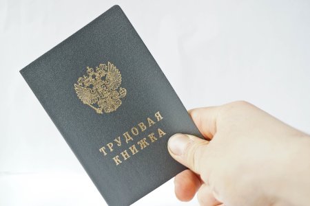Трудовая книжка