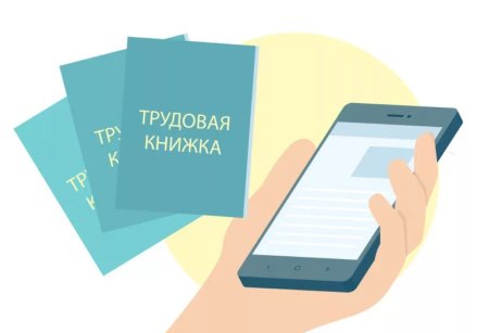 Трудовая книжка инфографика