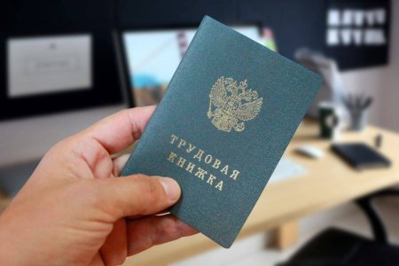 Трудовая книжка в руках