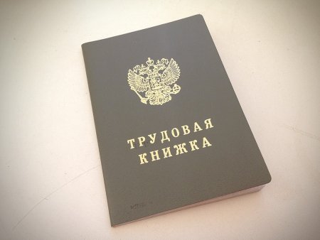 Изображение трудовой книжки