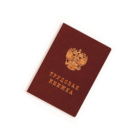 Трудовая книжка значок