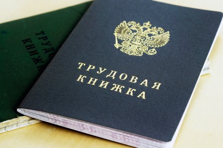 Трудовая книжка стаж