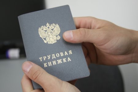Трудовая книжка картинка