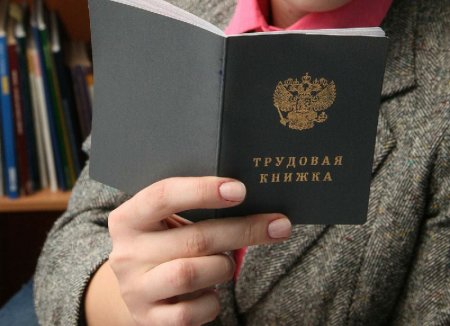 Трудовая книжка в руках