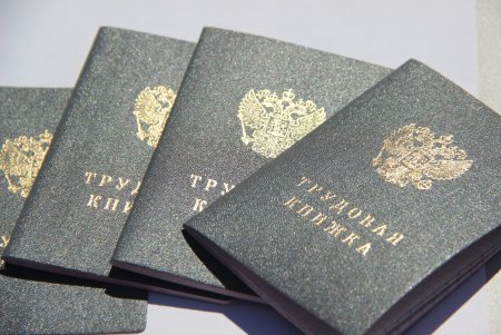 Трудовая книжка