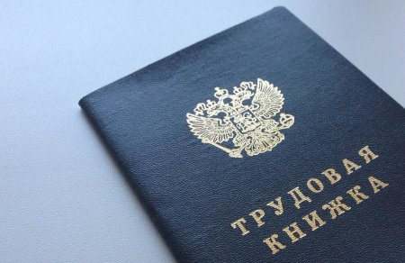 Электронная Трудовая книжка