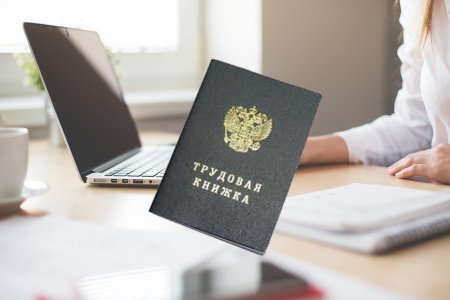 Электронная Трудовая книжка