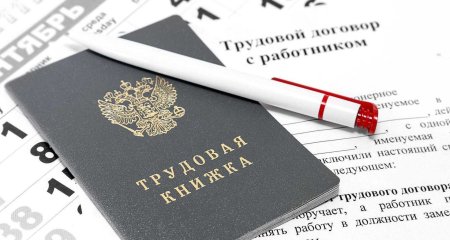Официальное трудоустройство