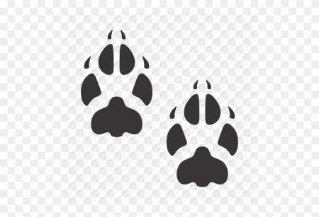 Отпечаток лапы лисы