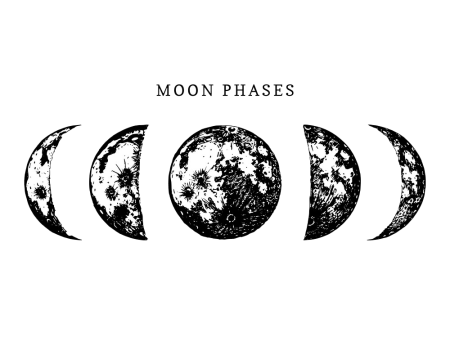 Фазы Луны вектор
