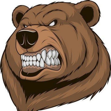 Голова рычащего медведя