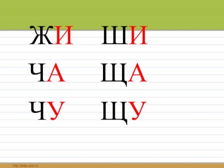 Буквосочетания жи-ши ча-ща Чу-ЩУ 1 класс школа России