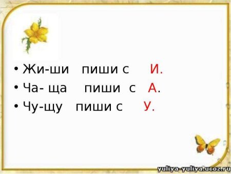 Буквосочетания жи ши
