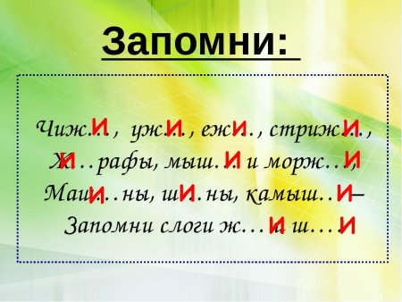 Правило жи ши