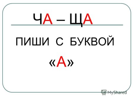 Правило ча ща