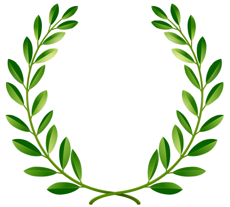 Ветка Лавра Treez