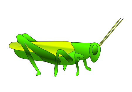 Кузнечик рисунок