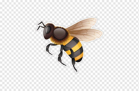 Bee Bumblebee Wasp Hornet