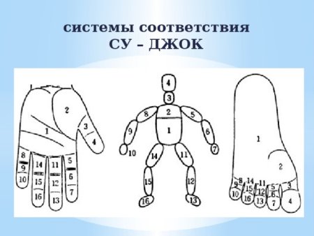 Система соответствия Су Джок