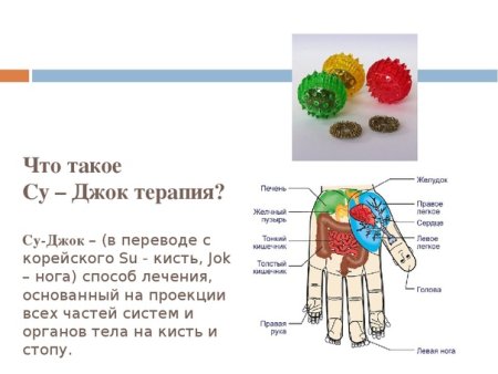 Массажный шарик Су-Джок схема