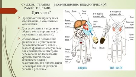 Массажный шарик "Су Джок"