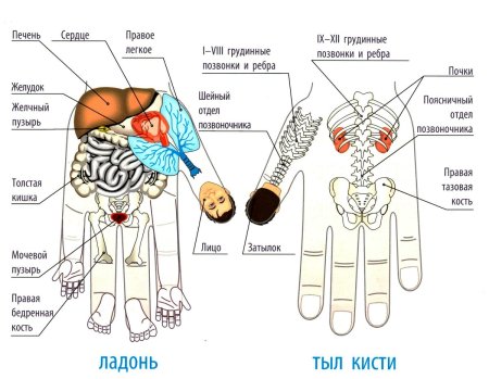 Массажный шарик "Су Джок"