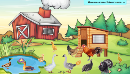 Птичий двор для детей