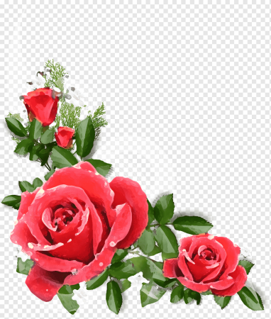 Цветы без фона