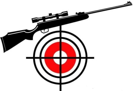 Стрельба логотип