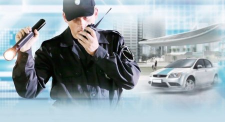 Частные детективные и охранные предприятия