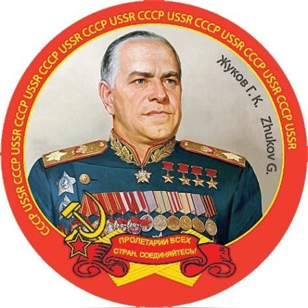 Жуков портрет с медалями