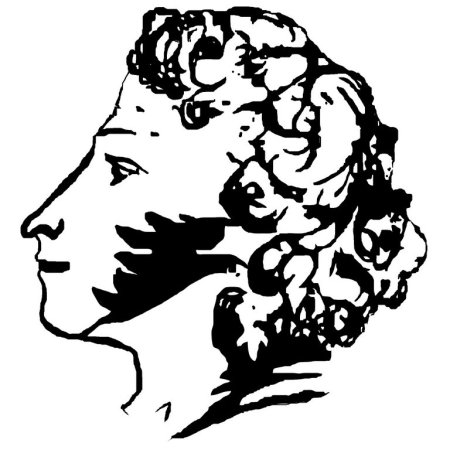 Александр Сергеевич Пушкин профиль