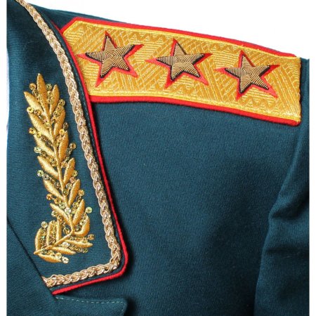 Петлицы Генерала армии РФ