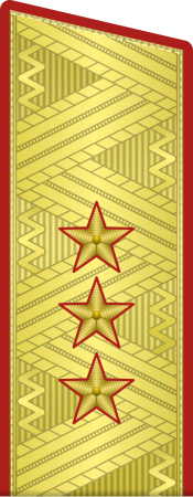Погоны Генерала армии СССР