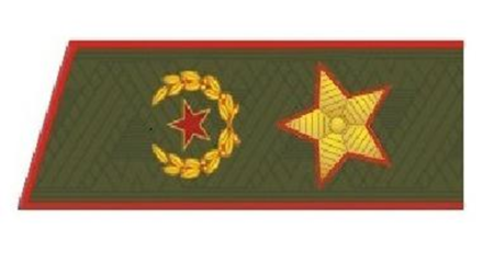 Погоны Генерала армии РФ