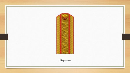 Проект про погоны
