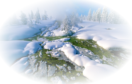 Зимняя природа на прозрачном фоне