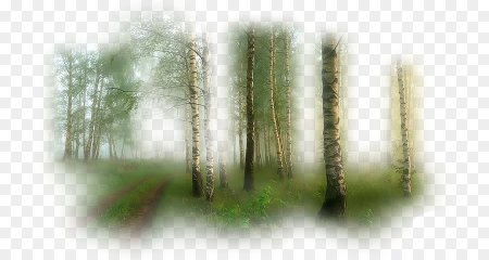 Пейзажи с размытыми краями