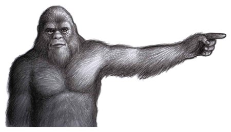 Yeti Sasquatch