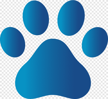 Paw Patrol лапки