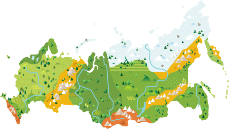 Природные зоны России вектор