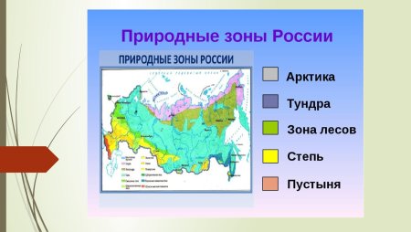 Карта природных зон 4 класс окружающий мир
