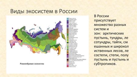 Природные зоны тундры и лесотундры на карте