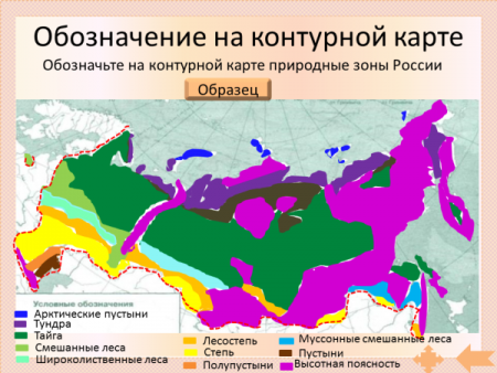 Природные зоны РФ контурная карта