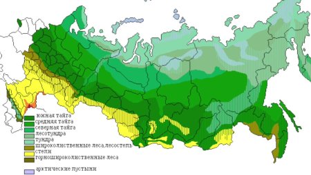 Карта России леса степи