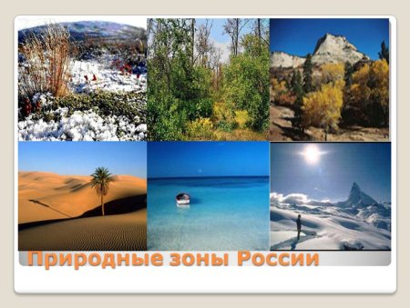 Разнообразие природных зон в России