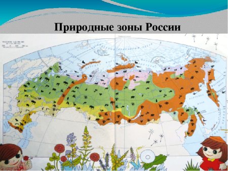 Карта природных зон России для детей
