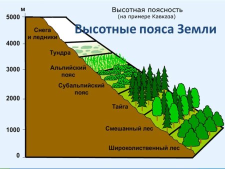Субтропики Высотная поясность